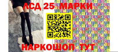 шишки Можга