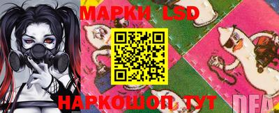 шишки Можга