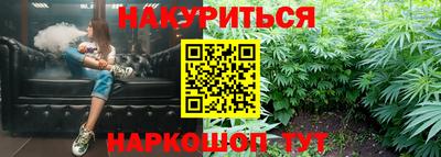 шишки Можга