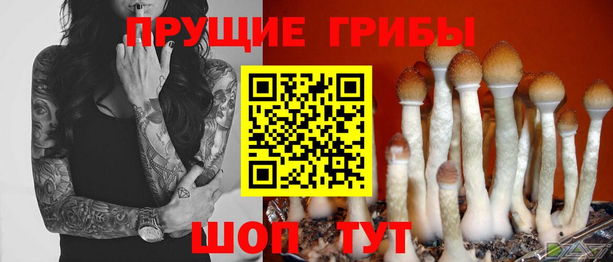Псилоцибиновые грибы GOLDEN TEACHER Мегион