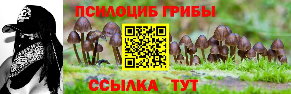 Галлюциногенные грибы Psilocybe  Вход с VPN  продажа наркотиков  Мегион 